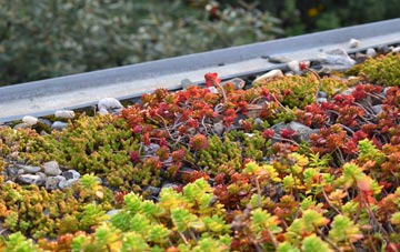 the cost of Fownhope green roof installation