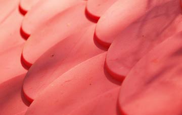 Fownhope plastic roof costs