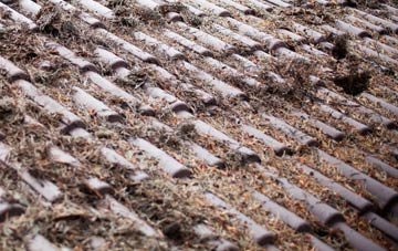 Fownhope roof cleaning companies